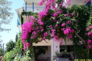 Gianna Studios_accommodation_in_Hotel_Ionian Islands_Lefkada_Perigiali