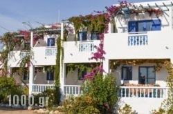 Akrogiali Apartments in Karpathos Chora, Karpathos, Dodekanessos Islands