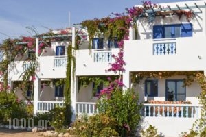 Akrogiali Apartments_accommodation_in_Apartment_Dodekanessos Islands_Karpathos_Karpathosora