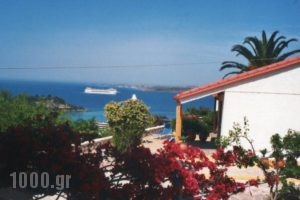 Ventura Rooms_holidays_in_Room_Ionian Islands_Kefalonia_Kefalonia'st Areas