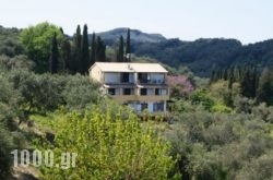 Villa Bouka in Corfu Rest Areas, Corfu, Ionian Islands