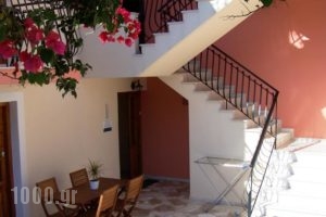 Alexatos Studios & Apartments_holidays_in_Apartment_Ionian Islands_Kefalonia_Kefalonia'st Areas