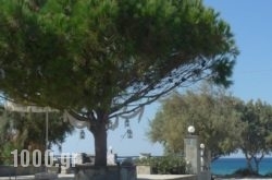 Akti Kastraki Areti Bungalows in Naxos Chora, Naxos, Cyclades Islands