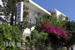 Thalia Hotel in Sitia, Lasithi, Crete