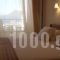 Niovi Luxury Apartments_best deals_Apartment_Central Greece_Evia_Edipsos