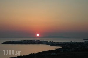 Tinosew Apartments_holidays_in_Apartment_Cyclades Islands_Tinos_Tinosst Areas