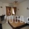 Guest House Syntrofia_holidays_in_Hotel_Macedonia_Florina_Psarades