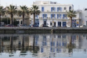 Hotel Oasis_accommodation_in_Hotel_Cyclades Islands_Paros_Paros Chora