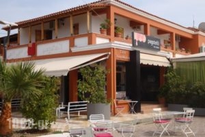Natura_accommodation_in_Hotel_Aegean Islands_Lesvos_Polihnitos