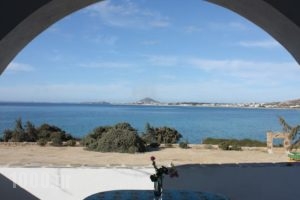 Orkos Blue Coast_holidays_in_Hotel_Cyclades Islands_Paros_Alyki