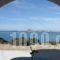 Orkos Blue Coast_holidays_in_Hotel_Cyclades Islands_Paros_Alyki