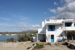 Orkos Blue Coast_accommodation_in_Hotel_Cyclades Islands_Paros_Alyki