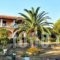 Irene Villas_travel_packages_in_Ionian Islands_Corfu_Arillas