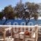 Anemelia Studios_accommodation_in_Hotel_Cyclades Islands_Syros_Posidonia