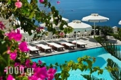 Nikos Villas in Karpathos Rest Areas, Karpathos, Dodekanessos Islands