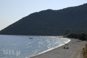 Manto Studios_holidays_in_Hotel_Peloponesse_Arcadia_Kosmas