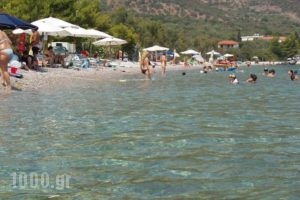 Manto Studios_travel_packages_in_Peloponesse_Arcadia_Kosmas