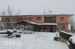 Ziakas Rooms in Kassandreia, Halkidiki, Macedonia
