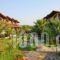Sirines Studios And Apartments_lowest prices_in_Apartment_Aegean Islands_Thasos_Thasos Chora