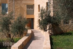 Villa Catani_lowest prices_in_Villa_Crete_Chania_Galatas