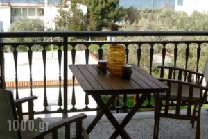 Sotiras Rooms_best deals_Room_Aegean Islands_Thasos_Skala of Sotiros