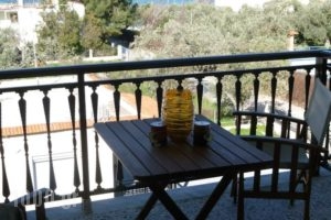 Sotiras Rooms_best prices_in_Room_Aegean Islands_Thasos_Skala of Sotiros