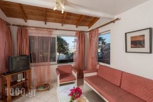 Roula Dina Apartments_holidays_in_Apartment_Crete_Chania_Stalos