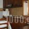 Zmas Studio_holidays_in_Hotel_Central Greece_Evia_Istiea