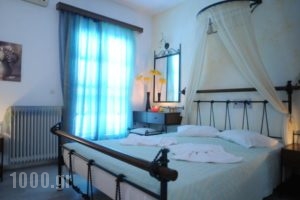 Studio Irene_accommodation_in_Hotel_Cyclades Islands_Naxos_Naxos chora