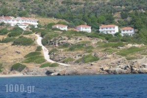 Maritsa's Bay Hotel_best prices_in_Hotel_Aegean Islands_Samos_Pythagorio