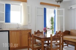 Pleiades Apartments_lowest prices_in_Apartment_Dodekanessos Islands_Karpathos_Karpathos Chora