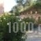 Villa Dimosthenis_best deals_Villa_Crete_Chania_Kolympari