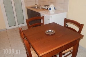 Filia Apartments_lowest prices_in_Apartment_Macedonia_Pieria_Olympiaki Akti