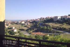 Iberis Hotel_holidays_in_Hotel_Macedonia_Kozani_Siatista