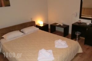 Iberis Hotel_travel_packages_in_Macedonia_Kozani_Siatista