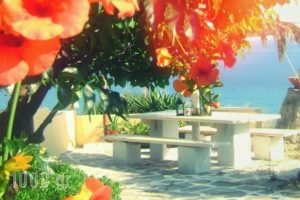 Villa Olga_accommodation_in_Villa_Macedonia_Halkidiki_Kassandreia