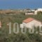 Gerolakos Villas_accommodation_in_Villa_Crete_Rethymnon_Rethymnon City
