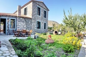 Artemis Traditional Hotel_accommodation_in_Hotel_Aegean Islands_Lesvos_Lesvos Rest Areas