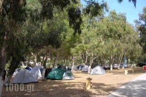 Camping Kea_best deals_Hotel_Cyclades Islands_Kea_Ioulis