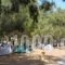 Camping Kea_best deals_Hotel_Cyclades Islands_Kea_Ioulis