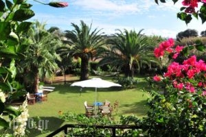 Villa Fleria Seaside Studios & Apts_accommodation_in_Villa_Crete_Chania_Kissamos