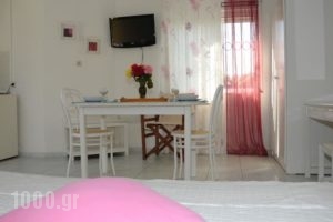 Villa Fleria Seaside Studios & Apts_best prices_in_Villa_Crete_Chania_Kissamos