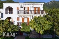 Alexios Studios in Skiathos Chora, Skiathos, Sporades Islands