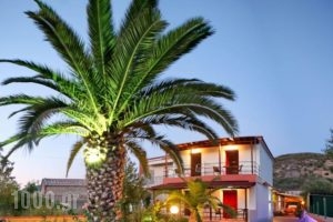 Andriotis Studios_accommodation_in_Hotel_Aegean Islands_Lesvos_Plomari