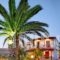 Andriotis Studios_accommodation_in_Hotel_Aegean Islands_Lesvos_Plomari