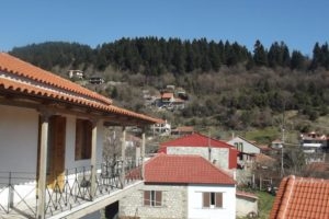 Hotel Elatofilito_accommodation_in_Hotel_Epirus_Arta_Arta City