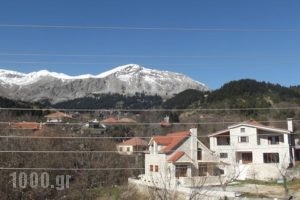 Hotel Elatofilito_best deals_Hotel_Epirus_Arta_Arta City