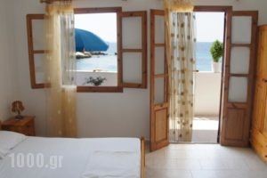 Nikos Studios_accommodation_in_Hotel_Dodekanessos Islands_Karpathos_Karpathosora