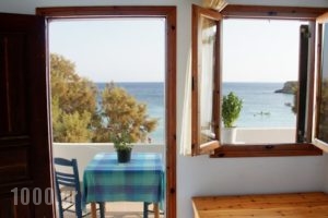 Nikos Studios_best prices_in_Hotel_Dodekanessos Islands_Karpathos_Karpathosora