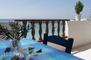 Nikos Studios_lowest prices_in_Hotel_Dodekanessos Islands_Karpathos_Karpathosora